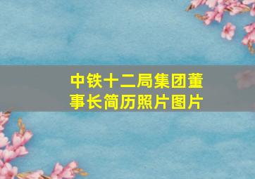 中铁十二局集团董事长简历照片图片