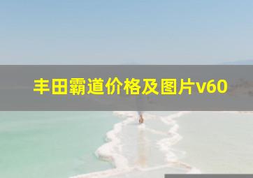 丰田霸道价格及图片v60