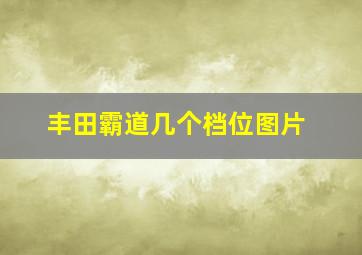 丰田霸道几个档位图片