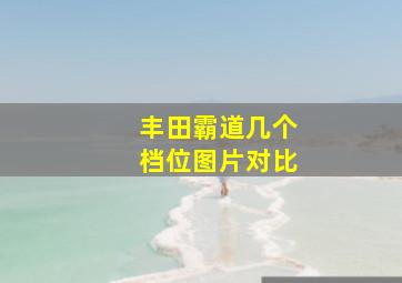 丰田霸道几个档位图片对比