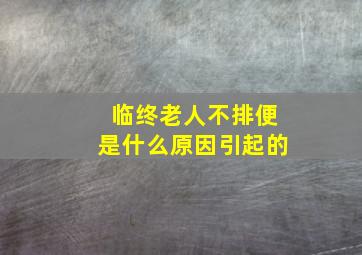 临终老人不排便是什么原因引起的