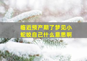 临近预产期了梦见小蛇咬自己什么意思啊