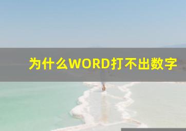 为什么WORD打不出数字