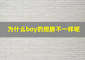 为什么boy的翅膀不一样呢