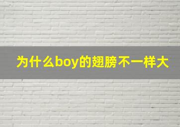 为什么boy的翅膀不一样大