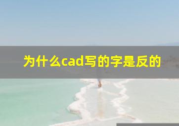 为什么cad写的字是反的