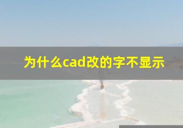 为什么cad改的字不显示