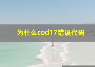 为什么cod17错误代码