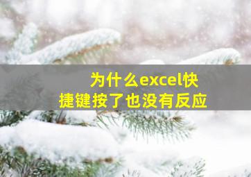 为什么excel快捷键按了也没有反应