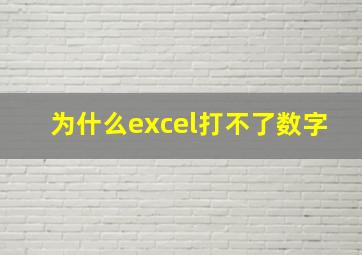 为什么excel打不了数字