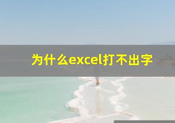 为什么excel打不出字