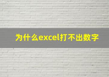 为什么excel打不出数字