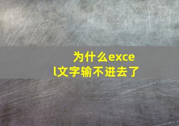 为什么excel文字输不进去了