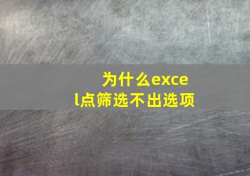 为什么excel点筛选不出选项