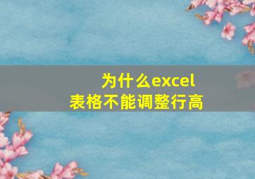 为什么excel表格不能调整行高