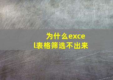 为什么excel表格筛选不出来