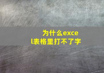 为什么excel表格里打不了字