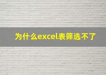 为什么excel表筛选不了