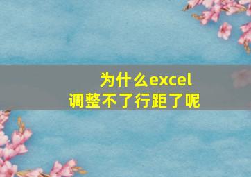 为什么excel调整不了行距了呢