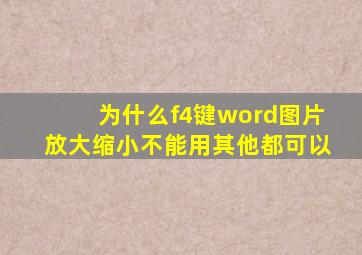 为什么f4键word图片放大缩小不能用其他都可以