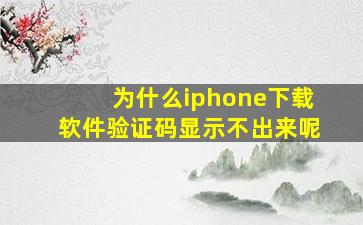 为什么iphone下载软件验证码显示不出来呢