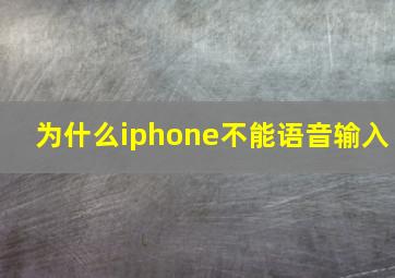 为什么iphone不能语音输入