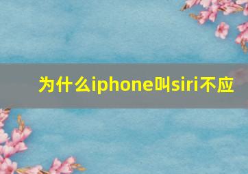 为什么iphone叫siri不应