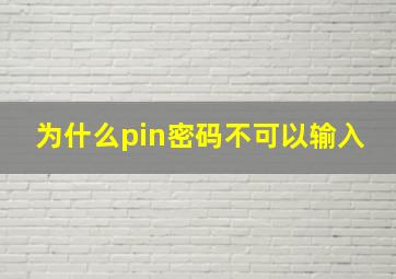 为什么pin密码不可以输入