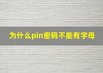 为什么pin密码不能有字母