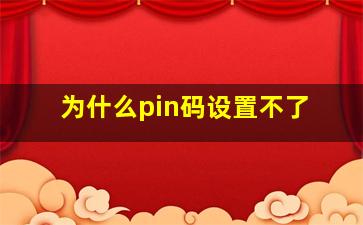 为什么pin码设置不了