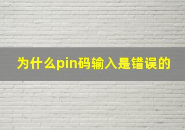 为什么pin码输入是错误的