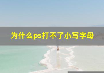 为什么ps打不了小写字母