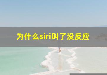 为什么siri叫了没反应