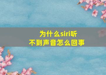 为什么siri听不到声音怎么回事