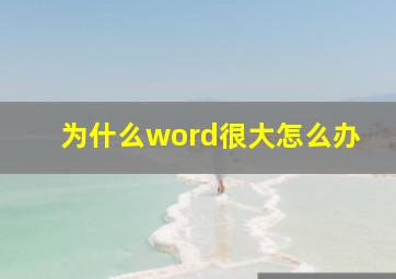 为什么word很大怎么办