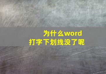 为什么word打字下划线没了呢