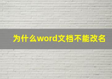 为什么word文档不能改名