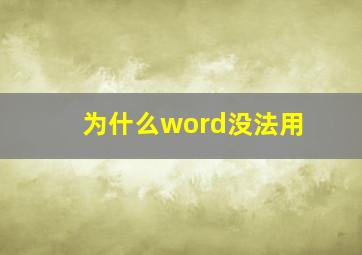 为什么word没法用