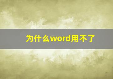 为什么word用不了