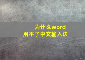 为什么word用不了中文输入法