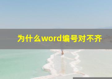 为什么word编号对不齐