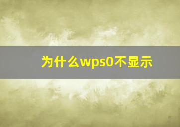 为什么wps0不显示