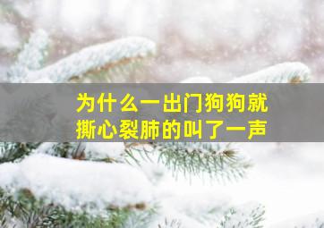 为什么一出门狗狗就撕心裂肺的叫了一声