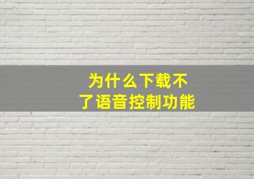 为什么下载不了语音控制功能