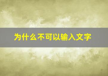 为什么不可以输入文字