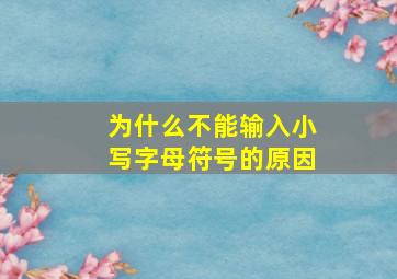 为什么不能输入小写字母符号的原因