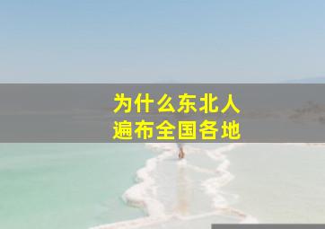 为什么东北人遍布全国各地