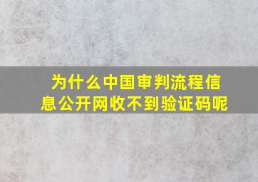 为什么中国审判流程信息公开网收不到验证码呢