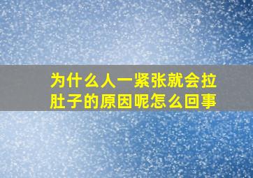 为什么人一紧张就会拉肚子的原因呢怎么回事