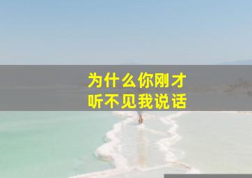 为什么你刚才听不见我说话